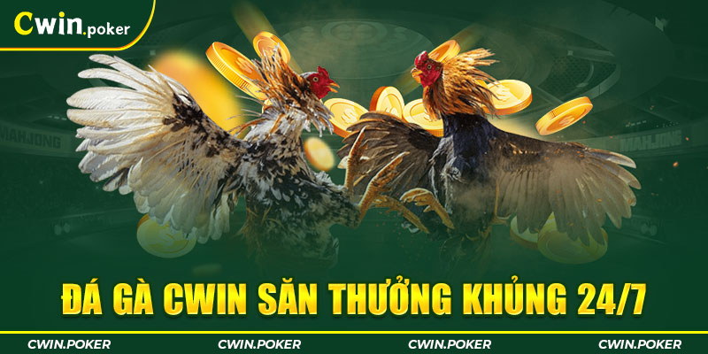 đá gà cwin săn thưởng khủng 24/7