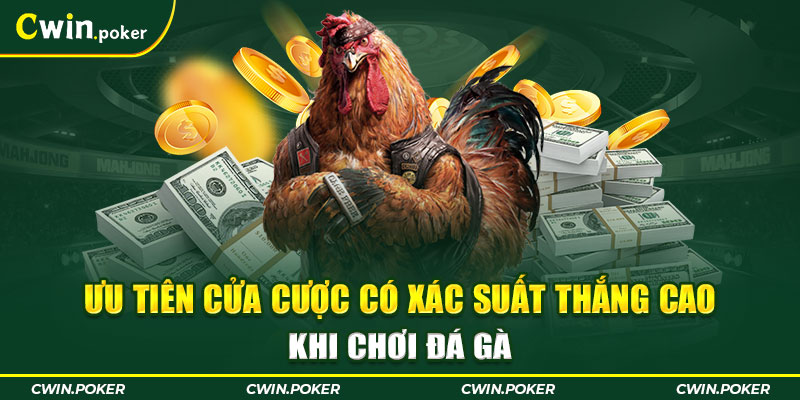 Ưu tiên cửa cược có xác suất thắng cao khi chơi đá gà