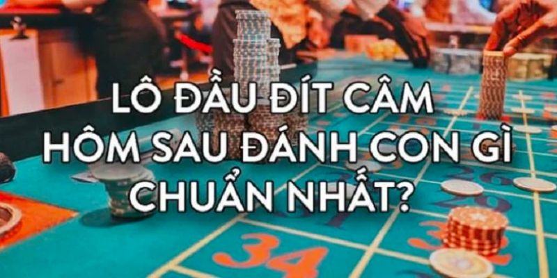 Đầu đít câm đánh lô gì trúng lớn? 