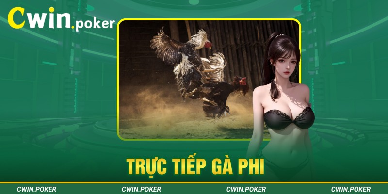 trực tiếp gà phi